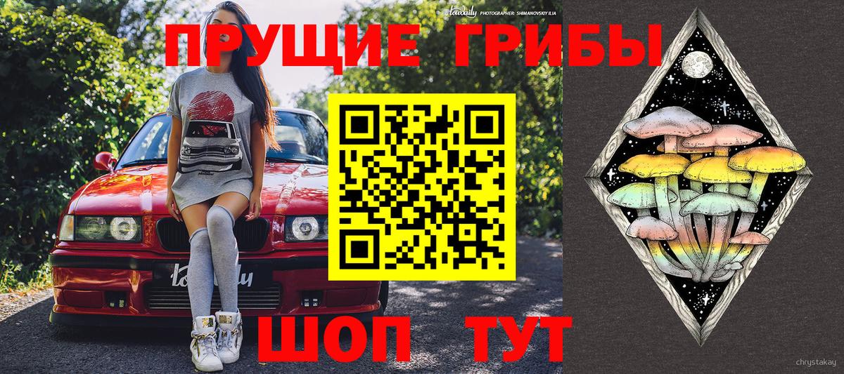 Еманжелинск  Галлюциногенные грибы прущие грибы  Вход с VPN 